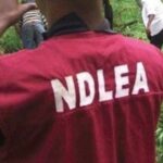 NDLEA arraigns drug baron, three Mexican nationals over illicit drugs