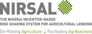 NIRSAL_LOGO_full-_PNG_copy