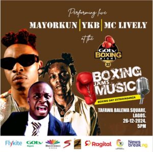 GOtv Boxing Night Artists
