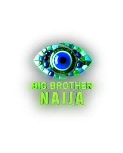 Big Brother Naija