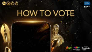 How to vote amvca 12