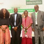 Invest in Energy Infrastructure To Boost Financial Inclusion, Economic Growth, Interswitch Group CEO Tells Africans