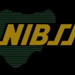 NPS Processes Over 26 Million Transactions as First Bank and Fidelity Bank Lead in Volume and Value